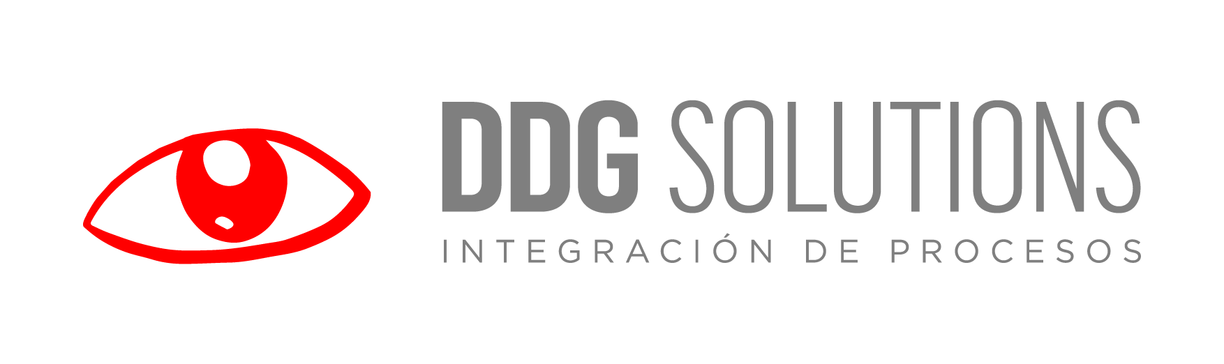 Logo DDG Solutions